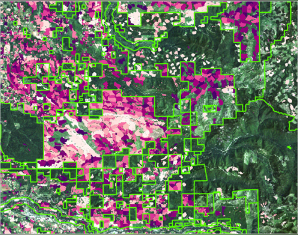 False-colour satellite imagery with parcel boundaries highlighted in green.