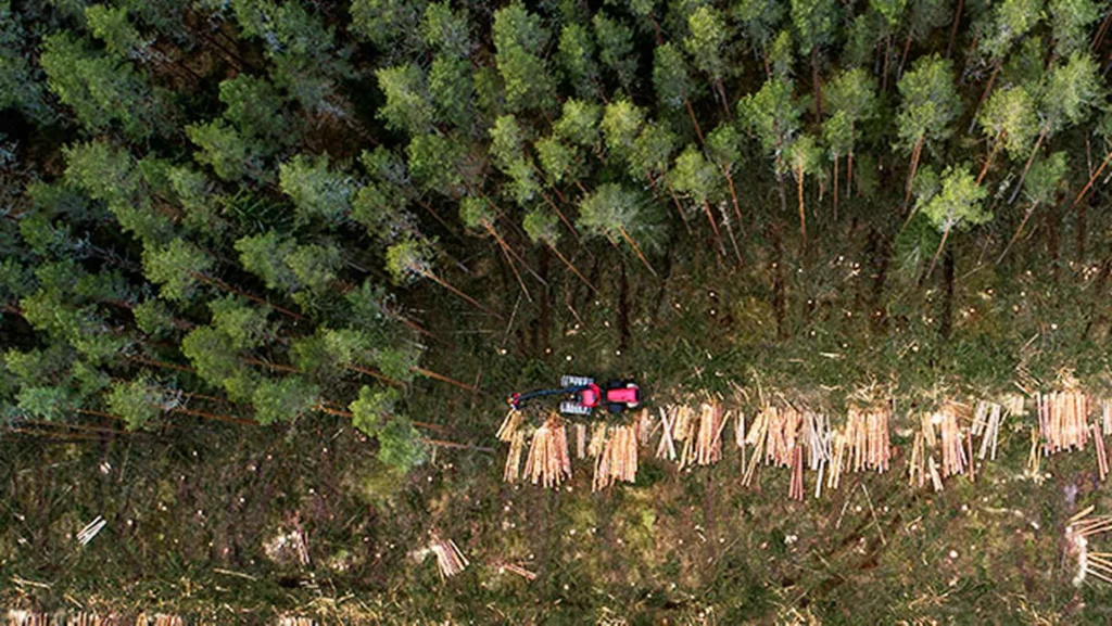 Aerial view of a forestry machine next to stacked logs and standing trees.
