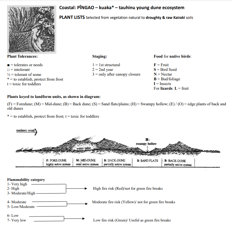 Plant list and dune ecosystem diagram for coastal vegetation.