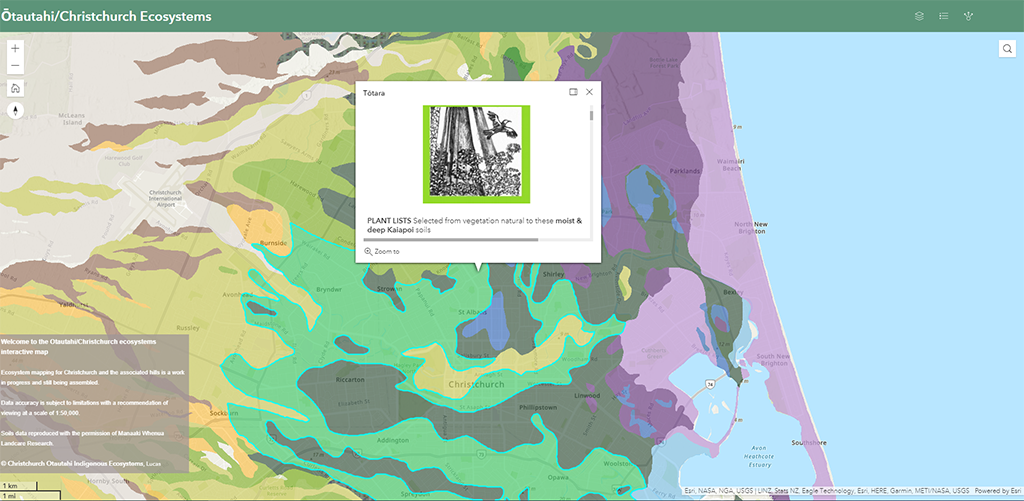 ArcGIS ecosystem map of Christchurch showing vegetation and land cover types.