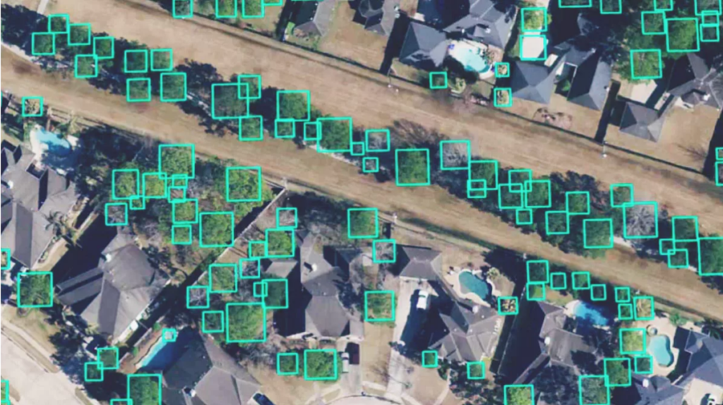 Aerial image showing trees highlighted with green bounding boxes.