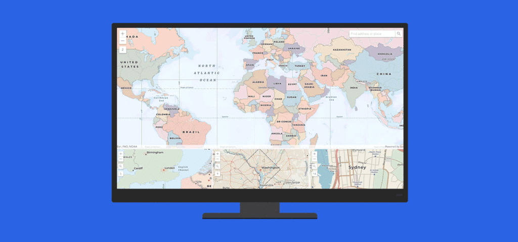 ArcGIS map viewer showing global and local basemap examples.