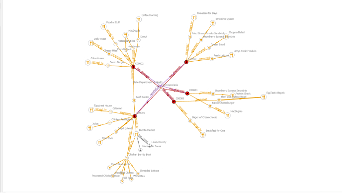 ArcGIS network analysis diagram with connected nodes and route links.
